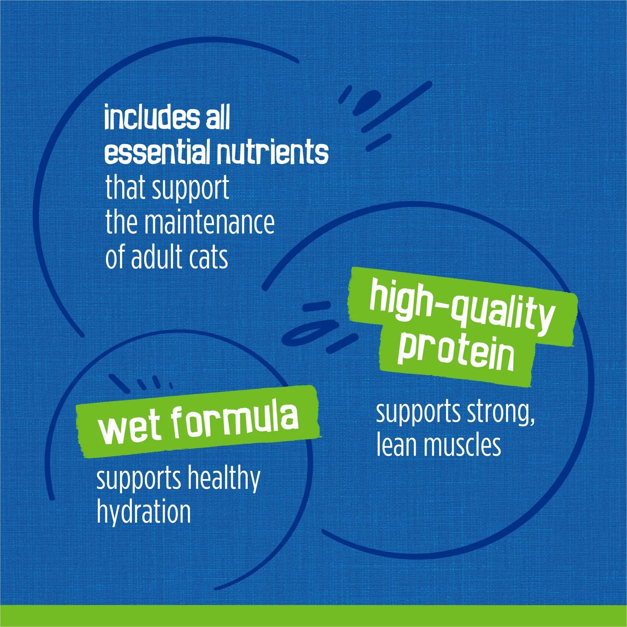 (2 pack) Purina Friskies Wet Cat Food Seafood Pate Favorites Variety Pack, 5.5 oz (32 Pack