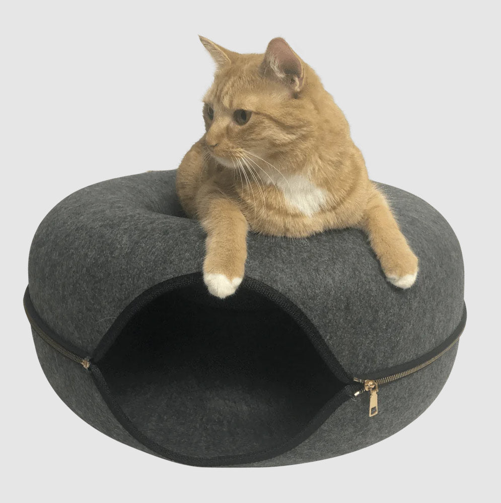 "Donut!" Cat Hideaway Cav