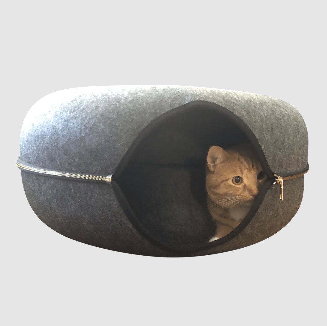 "Donut!" Cat Hideaway Cav